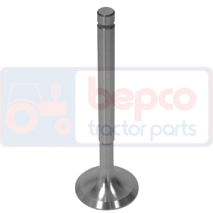 EXHAUST VALVE, David Brown, Dzinējs un tā sastāvdaļas, Cilindra galva, Izplūdes vārsti, K950100, , EXHAUST VALVE, 20/43-31, K950100, , 0.11 kg