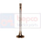 EXHAUST VALVE         , Ford, Classique - Major