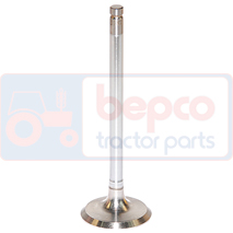 EXHAUST VALVE , Deutz, DX6 - DX6.30, Engine and components, Cylinder head, Exhaust valve, 02137300, 02237221, 03371762, 04153697, , EXHAUST VALVE , 21/43-37, 02137300, 02237221, 03371762, 04153697, , 0.10 kg