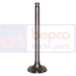 EXHAUST VALVE , Landini, Prima - 5000R, Engine and components, Cylinder head, Exhaust valve