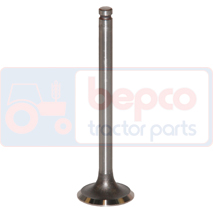 EXHAUST VALVE , Landini, Prima - 6000R, Engine and components, Cylinder head, Exhaust valve, 31431271, 31431591, 737640M1, , EXHAUST VALVE , 30/43-4, 31431271, 31431591, 737640M1, , 0.08 kg