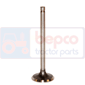 EXHAUST VALVE , Fiat, Engine and components, Cylinder head, Exhaust valve