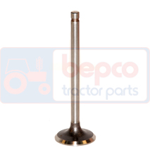 EXHAUST VALVE , Fiat, Engine and components, Cylinder head, Exhaust valve, 81865085, 83999666, E9NN6505EA, E9NN6505EC, , EXHAUST VALVE , 24/43-40, 81865085, 83999666, E9NN6505EA, E9NN6505EC, , 0.15 kg