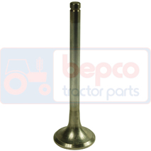 EXHAUST VALVE , Hurlimann, Elite - H6135 Elite, Engine and components, Cylinder head, Exhaust valve, , EXHAUST VALVE , 33/43-400, , 0.00 kg