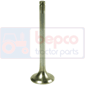 EXHAUST VALVE , Hurlimann, SX - SX1600, Engine and components, Cylinder head, Exhaust valve