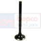 EXHAUST VALVE , Hurlimann, Prestige - H488T Prestige, Engine and components, Cylinder head, Exhaust valve