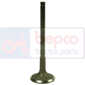 EXHAUST VALVE , Lamborghini, Champion - Champion 120, Engine and components, Cylinder head, Exhaust valve