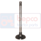 EXHAUST VALVE , Deutz, Agrotron MKIII - Agrotron 80MKIII, Engine and components, Cylinder head, Exhaust valve