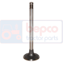 EXHAUST VALVE , Deutz, Agrotron - Agrotron 115, Engine and components, Cylinder head, Exhaust valve, 04192437, 04198106, 04208096, 04255217, 04283375, 04802382, , EXHAUST VALVE , 21/43-404, 04192437, 04198106, 04208096, 04255217, 04283375, 04802382, , 0.09 kg