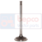 EXHAUST VALVE , Deutz, 5600 - 5690HTS COM2, Engine and components, Cylinder head, Exhaust valve