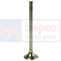 EXHAUST VALVE , Lamborghini, Engine and components, Cylinder head, Exhaust valve, 000972672, , EXHAUST VALVE , 32/43-419, 000972672, , 0.16 kg