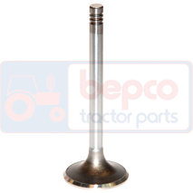 EXHAUST VALVE , Renault / Claas, 100 - 106-54, Engine and components, Cylinder head, Exhaust valve, 6005009610, , EXHAUST VALVE , 28/43-43, 6005009610, , 0.12 kg