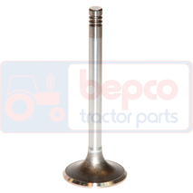 EXHAUST VALVE , Renault / Claas, Engine and components, Cylinder head, Exhaust valve, 6005003725, , EXHAUST VALVE , 28/43-44, 6005003725, , 0.13 kg