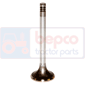 EXHAUST VALVE , Renault / Claas, 400 - 496, Engine and components, Cylinder head, Exhaust valve