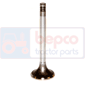 EXHAUST VALVE , Fendt, Farmer 100 - 106LSA, Engine and components, Cylinder head, Exhaust valve