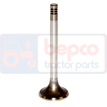 EXHAUST VALVE , Fendt, Farmer 100 - 106S, Engine and components, Cylinder head, Exhaust valve, F183200210070, , EXHAUST VALVE , 22/43-48, F183200210070, , 0.11 kg