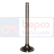 EXHAUST VALVE , Massey Ferguson, 2200 - 2205, Engine and components, Cylinder head, Exhaust valve, 3142A081, 31431011, 31431521, 31431691, 31431761, 31431991, 3637529M1, 3639880M1, 739972M1, 746008M1, 747581M1, , EXHAUST VALVE , 30/43-5, 3142A081, 31431011, 31431521, 31431691, 31431761, 31431991, 3637529M1, 3639880M1, 739972M1, 746008M1, 747581M1, , 0.08 kg