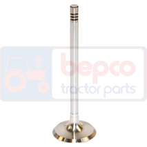 EXHAUST VALVE , Deutz, Agrocompact 3 - Agrocompact 3.50V/F, Engine and components, Cylinder head, Exhaust valve, 04159137, 04231804, , EXHAUST VALVE , 21/43-50, 04159137, 04231804, , 0.09 kg