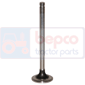 EXHAUST VALVE , Massey Ferguson, 3600 - 3680, Engine and components, Cylinder head, Exhaust valve