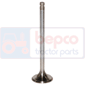 EXHAUST VALVE , Massey Ferguson, 8200 - 8270XTRA, Engine and components, Cylinder head, Exhaust valve