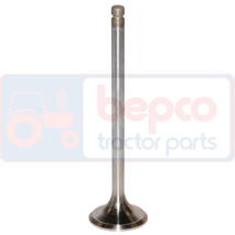 EXHAUST VALVE , Massey Ferguson, 8200 - 8260XTRA, Engine and components, Cylinder head, Exhaust valve, 3638962M91, V836646357, , EXHAUST VALVE , 30/43-52, 3638962M91, V836646357, , 0.16 kg