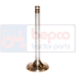 EXHAUST VALVE , Fendt, Favorit 500 - 511, Engine and components, Cylinder head, Exhaust valve