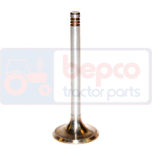 EXHAUST VALVE , Fendt, Farmer 300 - 306LSA, Engine and components, Cylinder head, Exhaust valve, F199200210050, , EXHAUST VALVE , 22/43-53, F199200210050, , 0.00 kg