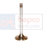 EXHAUST VALVE , Fendt, Farmer 300 - 308LSA, Engine and components, Cylinder head, Exhaust valve