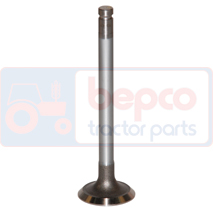 EXHAUST VALVE , Massey Ferguson, 3000 - 3055, Engine and components, Cylinder head, Exhaust valve, 3118132R1, 3142A052, 31431881, 717664, 741466M1, 747552M1, 7701031589, , EXHAUST VALVE , 30/43-6, 3118132R1, 3142A052, 31431881, 717664, 741466M1, 747552M1, 7701031589, , 0.11 kg