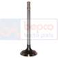 EXHAUST VALVE         , Landini, Rex V - Rex 60V