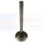 EXHAUST VALVE         , Massey Ferguson, 6400 - 6445