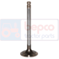 EXHAUST VALVE         , Landini, Rex FP/LP/GTP/GE - Rex 90GE