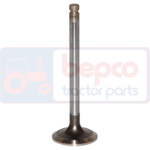 EXHAUST VALVE , Massey Ferguson, 6200 - 6265, Engine and components, Cylinder head, Exhaust valve, 3142D051, 4222147M91, , EXHAUST VALVE , 30/43-61, 3142D051, 4222147M91, , 0.11 kg