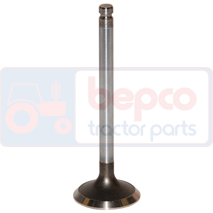 EXHAUST VALVE , Massey Ferguson, 300 - 394AP(X), Engine and components, Cylinder head, Exhaust valve, 3142D061, 4222957M1, , EXHAUST VALVE , 30/43-63, 3142D061, 4222957M1, , 0.12 kg