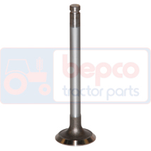 EXHAUST VALVE +0,076MM 0.003''-0.076mm, Massey Ferguson, 3000 - 3050, Engine and components, Cylinder head, Exhaust valve, 31431882, 741937M1, , EXHAUST VALVE +0,076MM 0.003''-0.076mm, 30/43-6A, 31431882, 741937M1, , 0.11 kg