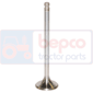 EXHAUST VALVE , Massey Ferguson, Engine and components, Cylinder head, Exhaust valve