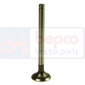 EXHAUST VALVE , Zetor, Forterra - 10641 Euro II, Engine and components, Cylinder head, Exhaust valve