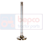 EXHAUST VALVE , Fendt, Farmer 200 - 204PA, Engine and components, Cylinder head, Exhaust valve