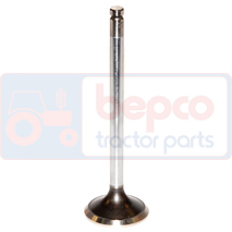 EXHAUST VALVE , Case-IH, CF - CF60, Engine and components, Cylinder head, Exhaust valve, 153648769, 3921444, 4593902254, 75208238, 75286740, 87773028, J802085, J902254, J921444, , EXHAUST VALVE , 25/43-78, 153648769, 3921444, 4593902254, 75208238, 75286740, 87773028, J802085, J902254, J921444, , 0.36 kg