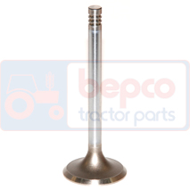 EXHAUST VALVE, Case-IH, CS - CS78, Dzinējs un tā sastāvdaļas, Cilindra galva, Izplūdes vārsti, 130182050702, , EXHAUST VALVE, 25/43-81, 130182050702, , 0.00 kg