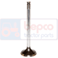 EXHAUST VALVE , Case-IH, CX - CX70, Engine and components, Cylinder head, Exhaust valve