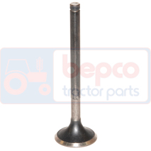 EXHAUST VALVE , Case-IH, Engine and components, Cylinder head, Exhaust valve, 1966393C1, , EXHAUST VALVE , 25/43-87, 1966393C1, , 0.00 kg