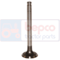 EXHAUST VALVE +0,381MM 0.015''-0.381mm, Massey Ferguson, 300 - 376XCF, Engine and components, Cylinder head, Exhaust valve