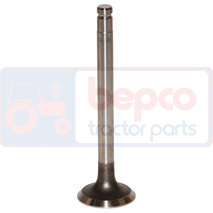 EXHAUST VALVE +0,381MM 0.015''-0.381mm, Massey Ferguson, 3200-3300 - 3220AP(X), Engine and components, Cylinder head, Exhaust valve, 3142A054, 31431333, 747554M1, , EXHAUST VALVE +0,381MM 0.015''-0.381mm, 30/43-9B, 3142A054, 31431333, 747554M1, , 0.05 kg