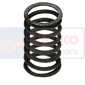 VALVE SPRING INSIDE/OUTSIDE, Massey Ferguson, 8200 - 8240, Engine and components, Cylinder head, Valve spring