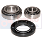 BEARINGS KIT , Massey Ferguson, TE20 - TEA20, Steering, Steering, Hub and related parts