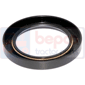 OIL SEAL , Massey Ferguson, 400 - 440, Steering, Steering, Hub and related parts