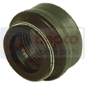 VALVE SEAL , Deutz, Agrolux COM3 - Agrolux 320P, Engine and components, Cylinder head, Cotter and valve seal