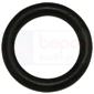 VALVE SEAL         , Massey Ferguson, 300 - 393TLX