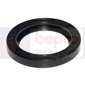 SEAL         , JCB, 530 - 530BHL-4 (LJ)